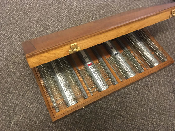 Trial case in Walnut wooden case
