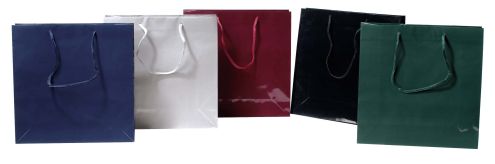 Large Gloss Bags