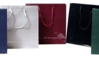 Large Gloss Bags